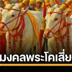เสี่ยงทายเลขเด็ด